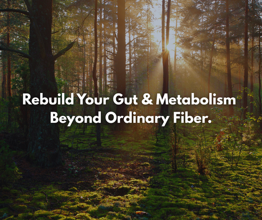 Rebuild Your Gut & Metabolism — Beyond Ordinary Fiber