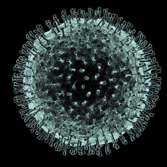 Dark days over deadly virus: Coronavirus (n-CoV)