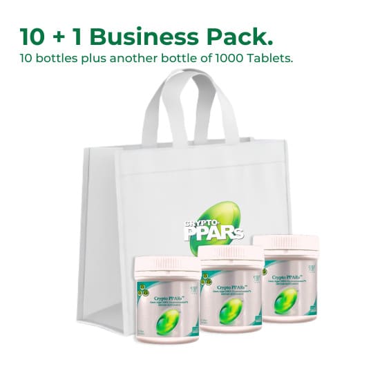 Business Pack (I)