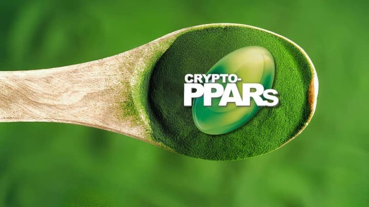 What is Crypto PPARs Banner
